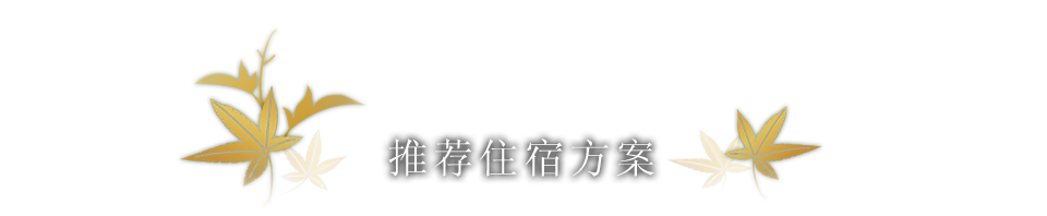 Recommended packages