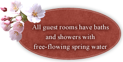 All guest rooms have baths and showers with free-flowing spring water