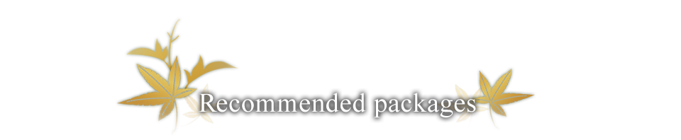 Recommended packages