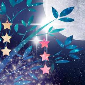 限定３日間７/5(金)～7/7(日)「七夕の星空観察と七夕短冊(ネイチャーガイド付)プラン」